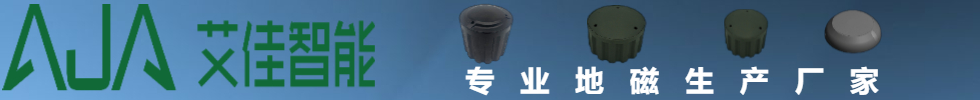 艾佳